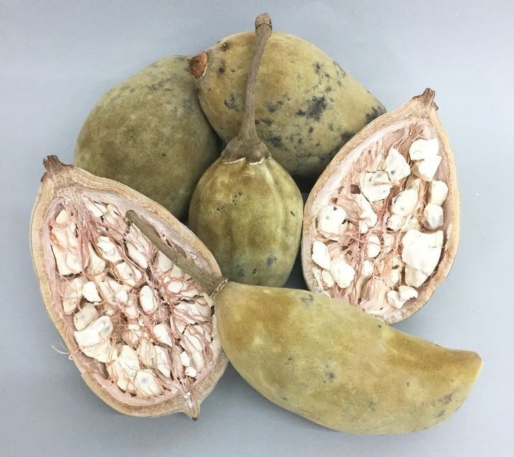 Baobab