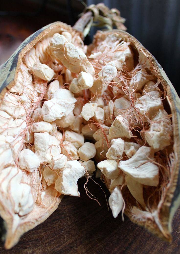 Baobab